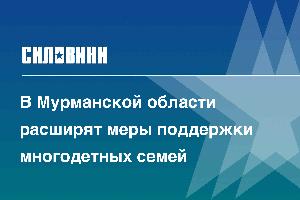 В Мурманской области расширят меры поддержки многодетных семей