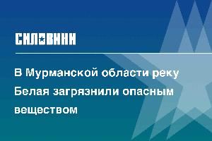 В Мурманской области реку Белая загрязнили опасным веществом