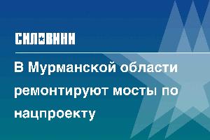 В Мурманской области ремонтируют мосты по нацпроекту