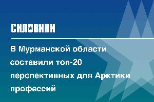 В Мурманской области составили топ-20 перспективных для Арктики профессий 