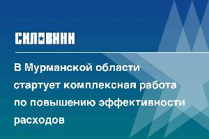 В Мурманской области стартует комплексная работа по повышению эффективности расходов