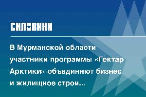 В Мурманской области участники программы «Гектар Арктики» объединяют бизнес и жилищное строительство