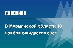 В Мурманской области 18 ноября ожидается снег