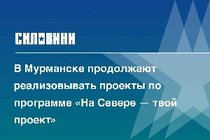 В Мурманске продолжают реализовывать проекты по программе «На Севере — твой проект»