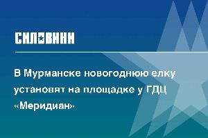 В Мурманске новогоднюю елку установят на площадке у ГДЦ «Меридиан»