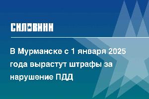 В Мурманске с 1 января 2025 года вырастут штрафы за нарушение ПДД