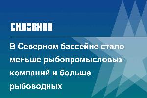 В Северном бассейне стало меньше рыбопромысловых компаний и больше рыбоводных