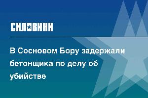 В Сосновом Бору задержали бетонщика по делу об убийстве