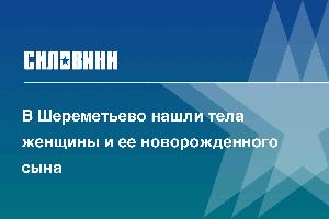 В Шереметьево нашли тела женщины и ее новорожденного сына