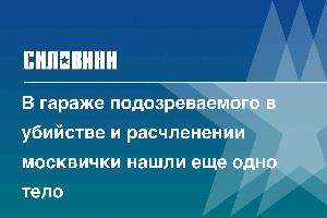 В гараже подозреваемого в убийстве и расчленении москвички нашли еще одно тело