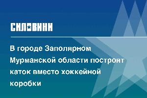 В городе Заполярном Мурманской области построят каток вместо хоккейной коробки