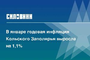 В январе годовая инфляция Кольского Заполярья выросла на 1,1%