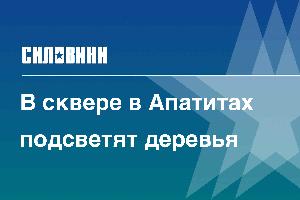 В сквере в Апатитах подсветят деревья