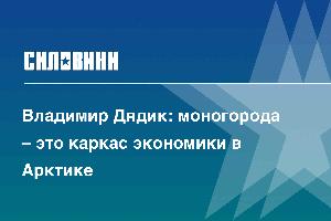 Владимир Дядик: моногорода – это каркас экономики в Арктике