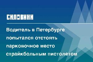 Водитель в Петербурге попытался отстоять парковочное место страйкбольным пистолетом