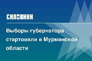 Выборы губернатора стартовали в Мурманской области