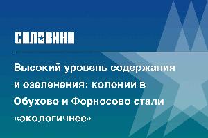 Высокий уровень содержания и озеленения: колонии в Обухово и Форносово стали «экологичнее»