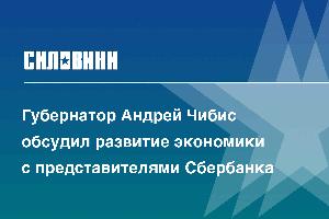 Губернатор Андрей Чибис обсудил развитие экономики с представителями Сбербанка