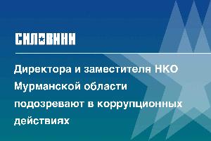 Директора и заместителя НКО Мурманской области подозревают в коррупционных действиях