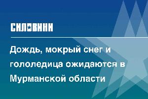 Дождь, мокрый снег и гололедица ожидаются в Мурманской области