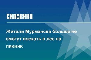 Жители Мурманска больше не смогут поехать в лес на пикник