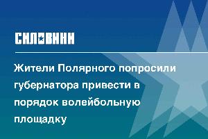 Жители Полярного попросили губернатора привести в порядок волейбольную площадку