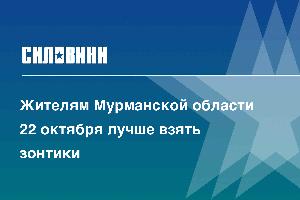 Жителям Мурманской области 22 октября лучше взять зонтики