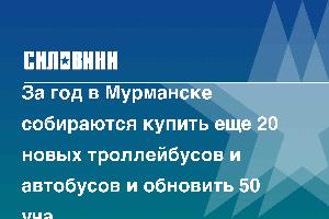 За год в Мурманске собираются купить еще 20 новых троллейбусов и автобусов и обновить 50 участков дорог