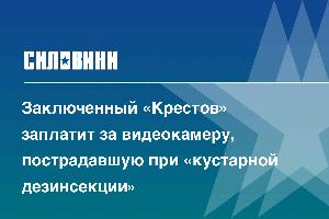 Заключенный «Крестов» заплатит за видеокамеру, пострадавшую при «кустарной дезинсекции»