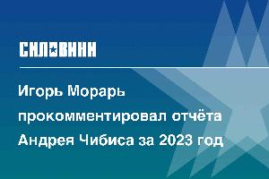 Игорь Морарь прокомментировал отчёта Андрея Чибиса за 2023 год