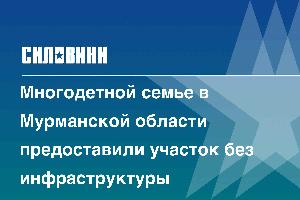 Многодетной семье в Мурманской области предоставили участок без инфраструктуры