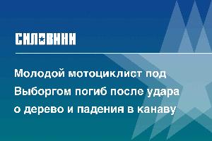 Молодой мотоциклист под Выборгом погиб после удара о дерево и падения в канаву