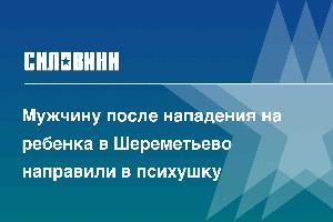 Мужчину после нападения на ребенка в Шереметьево направили в психушку
