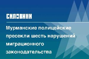 Мурманские полицейские пресекли шесть нарушений миграционного законодательства