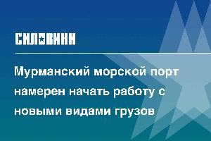 Мурманский морской порт намерен начать работу с новыми видами грузов