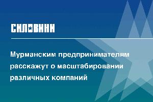 Мурманским предпринимателям расскажут о масштабировании различных компаний