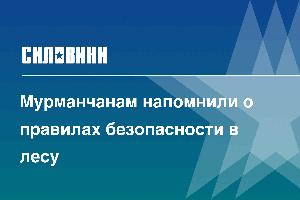 Мурманчанам напомнили о правилах безопасности в лесу