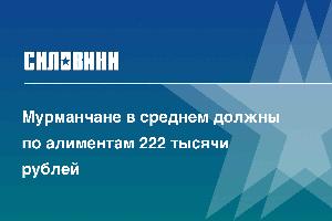 Мурманчане в среднем должны по алиментам 222 тысячи рублей