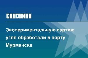 Экспериментальную партию угля обработали в порту Мурманска