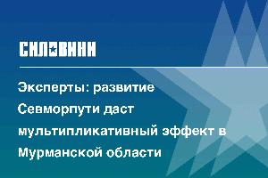 Эксперты: развитие Севморпути даст мультипликативный эффект в Мурманской области