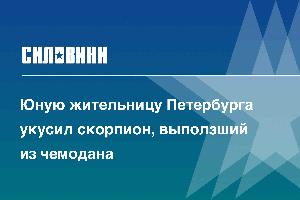 Юную жительницу Петербурга укусил скорпион, выползший из чемодана