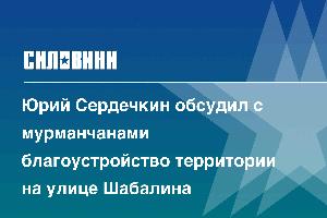 Юрий Сердечкин обсудил с мурманчанами благоустройство территории на улице Шабалина