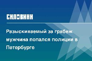 Разыскиваемый за грабеж мужчина попался полиции в Петербурге