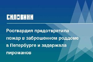 Росгвардия предотвратила пожар в заброшенном роддоме в Петербурге и задержала пироманов