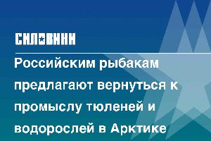 Российским рыбакам предлагают вернуться к промыслу тюленей и водорослей в Арктике