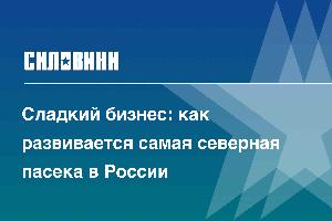 Сладкий бизнес: как развивается самая северная пасека в России