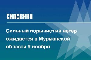 Сильный порывистый ветер ожидается в Мурманской области 9 ноября