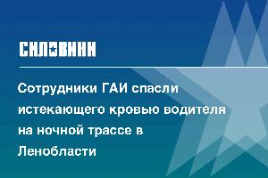 Сотрудники ГАИ спасли истекающего кровью водителя на ночной трассе в Ленобласти