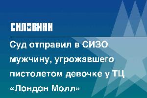 Суд отправил в СИЗО мужчину, угрожавшего пистолетом девочке у ТЦ «Лондон Молл»