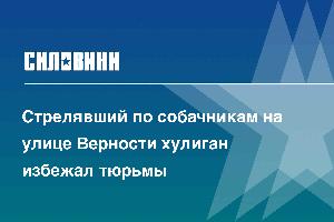Стрелявший по собачникам на улице Верности хулиган избежал тюрьмы